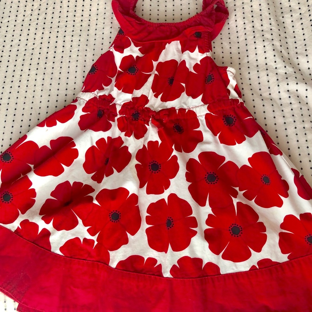 Gymboree Red Poppy Dress